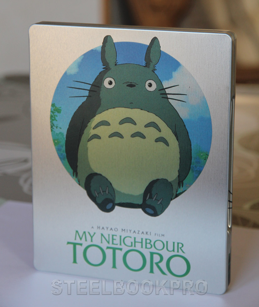Totoro3