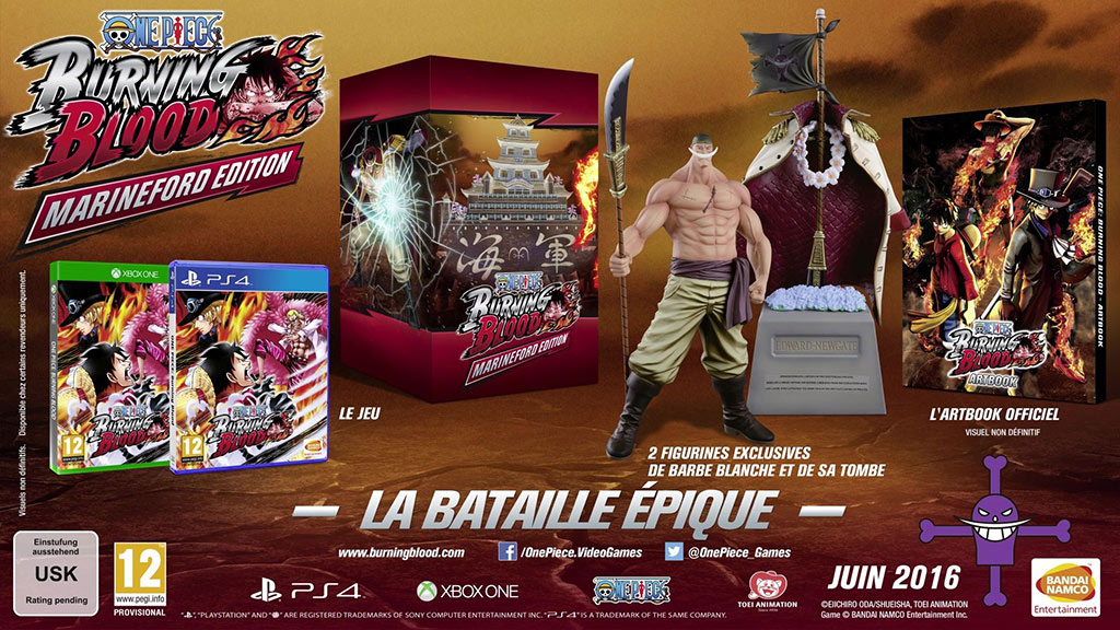 édition-collector-pour-One-Piece-Burning-Blood
