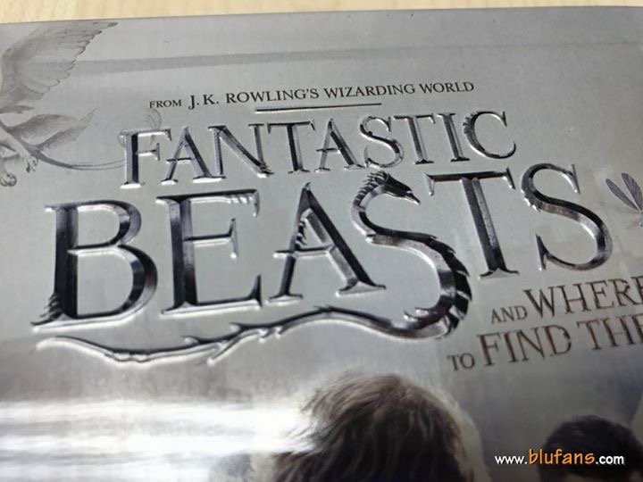 Fantastic Beasts steelbook blufans 4