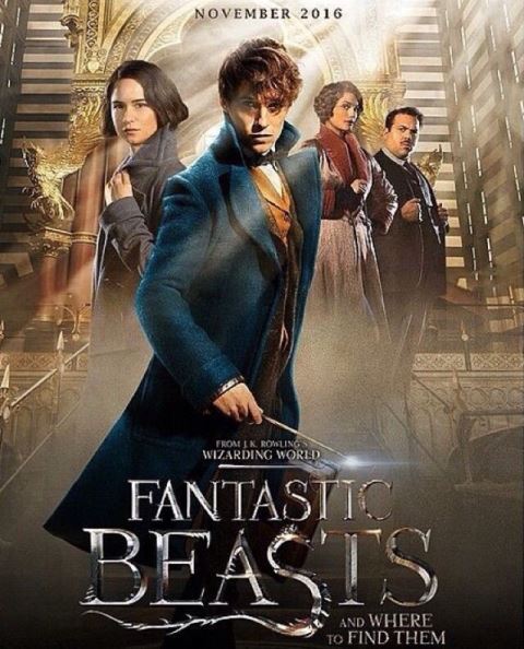 fantastic-beasts-and-where-to-find-them-movie