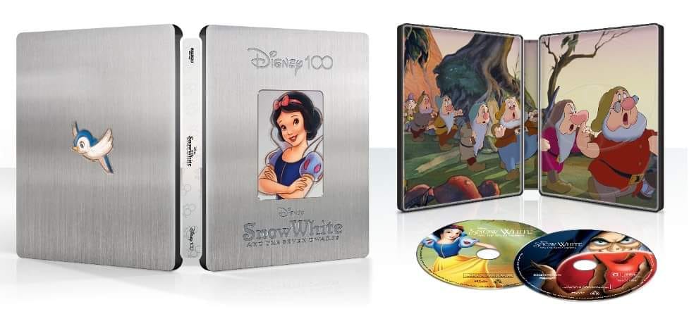 Collection Disney - Vinyle couleur limitée (VO) - Steelbook Jeux Vidéo