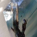 IMG_20260929_134823