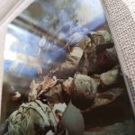 IMG_20261017_170827